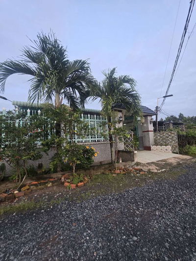 Nhà vườn gần 800m² thổ cư 100% huyện Đức huệ long an