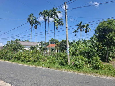 CHỦ CẦN TIỀN GỞI BÁN LÔ ĐẤT MẶT TIỀN ĐÀ NẴNG GIÁ RẺ