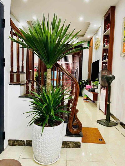 nhà khu tập thể Bông Vải Sợi - Lai Xá - 4 tầng - chủ tặng nội tHẤT