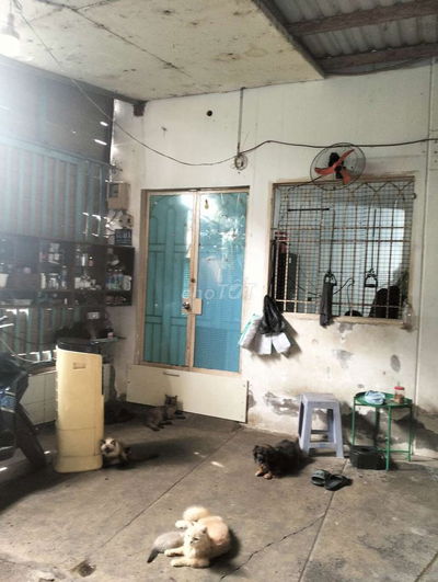 Nhà cấp 4 tọa lạc tại Đường 41, Phường Bình Trưng Đông, Q 2 cũ,61,6m2.