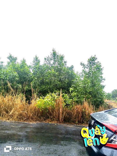 Bán đất 24000m2 tại Quốc Lộ 55, Bưng Riềng, Xuyên Mộc, Tp.HCM, 13,7 tỷ