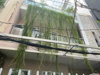 Nguyên tầng 2 phòng ở biệt lập sân vừơn hồ bơi không chung chủ