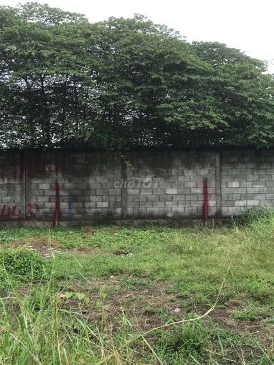 BÁN ĐẤT THỔ CƯ ẤP 4 XÃ MỸ YÊN TỈNH TÂY NINH(TỈNH LONG AN CŨ)