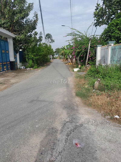 đất lúa mặt tiền đường ôtô. dt 50mv. ngang 5m dài 10m.