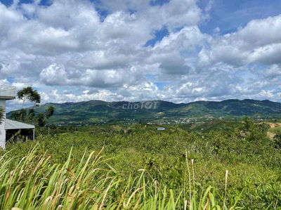 BÁN ĐẤT VIEW ĐỒI BÁT ÚP KHU PHẠM HỒNG THÁI - ĐẠI LÀO - TP. BẢO LỘC