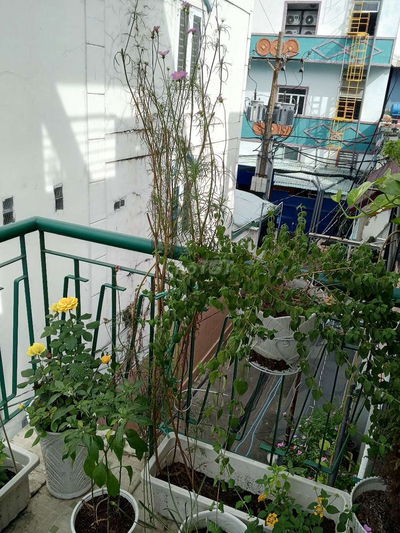 Phòng có bancon rộng rãi, thoáng mát, máy lạnh.