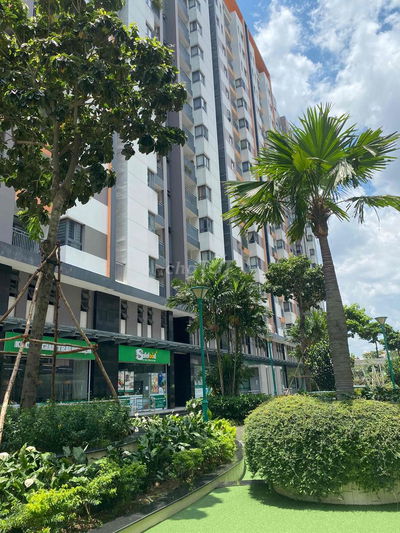 Cho thuê mặt bằng tầng trệt Him Lam Phú An 98m2