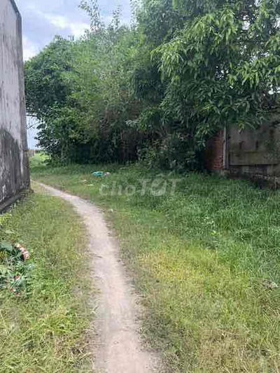 Đất 5 x 36m xã Mỹ Hạnh. Giá 580 triệu. LH: ***