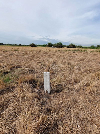 bán 20640m đất nông nghiệp tờ 43 phú đông mt đường Cát Lái,view sông.