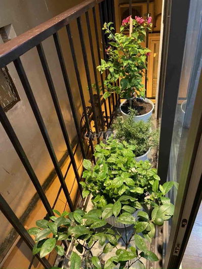 STUDIO FULL ĐỒ CỰC XINH Ở QUẬN TÂY HỒ - TÔ NGỌC VÂN