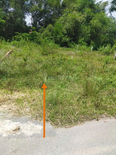 Bán đất SHR thổ cư full 88m2 Thái Mỹ Củ Chi hơn 1 tỷ