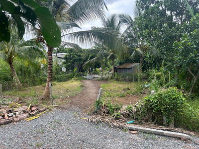 đất nền thuộc khu dân cư tân hội,dắt tiềm năng sinh lời cao