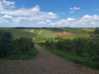 BẢO LỘC | 3800M2 ĐỂ LÀM HOMESTAY KẾ HOMESTAY 21 LỘC QUẢNG GIÁ 2,5 TỶ