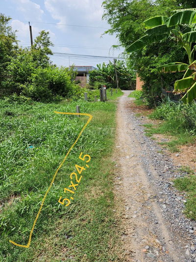 Ấp 5, phước vân, cần đước, long an