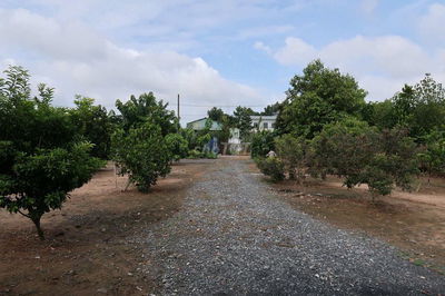 Góc 2MT lộ bờ đai 14.2M X 20M dt 285M.phước lý,gò den LA