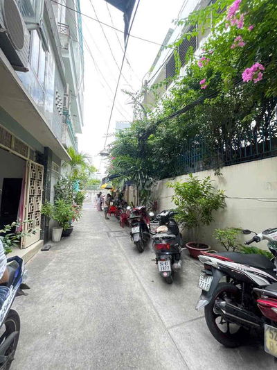 cho thuê gấp nhà trung tâm HXH Trần Đình Xu, quận 1