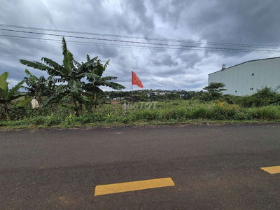 View đẹp như Đà Lạt