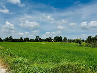 ✨ BÁN ĐẤT NÔNG NGHIỆP CÓ SỔ 1527 M2 TẠI TÂN NHỰT–BÌNH CHÁNH-TP.HCM ✨