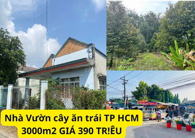 Chính chủ kẹt tiền cần bán gấp, vườn trái cây nghỉ dưỡng, tặng nhà C4