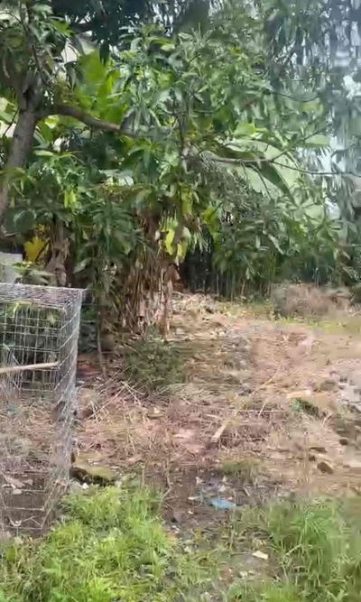 330m2 , gần đường chòm sao. có 300m thổ cư