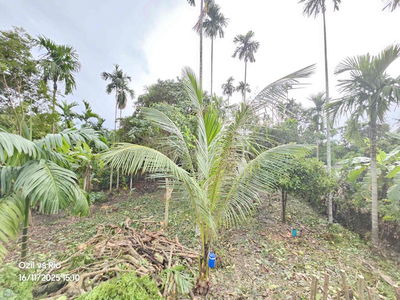 đất Vườn phường Thuânn An ngay TT TP HCM