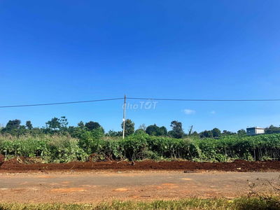 10x50m MẶT TIỀN 473 YMOAN