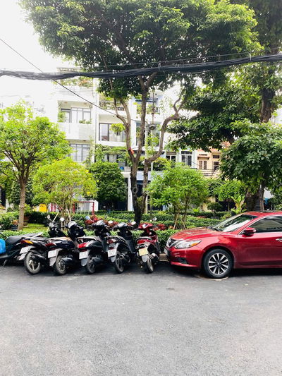 view công viên 52m2 HXH 409 Nguyễn Trọng Tuyển- 7,75 tỷ- xanh mát lành