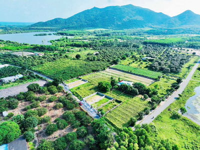 🌊 HOT – ĐẤT ĐẸP THỊ TRẤN PHƯỚC HẢI NGAY HỒ SƠ BÔNG GIÁ 1TY280