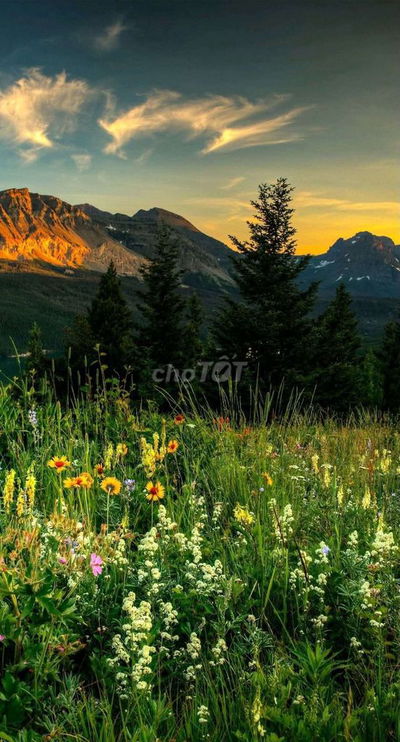 CĂN HỘ TẦNG TRỆT K26 DƯƠNG QUẢNG HÀM .2PN& hiên 20m...