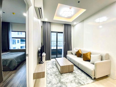 Căn hộ cc Monarchy tầng cao, view sông