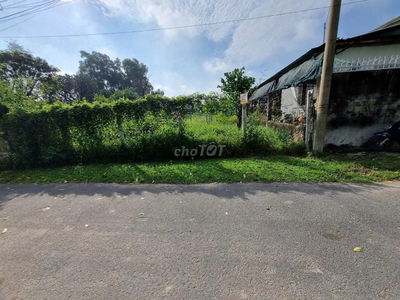 ĐẤT VƯỜN THỊ TRẤN CỦ CHI 500M2  CÓ 150M2 THỔ CƯ GIÁ TỐT 830TR BỚT LỘC