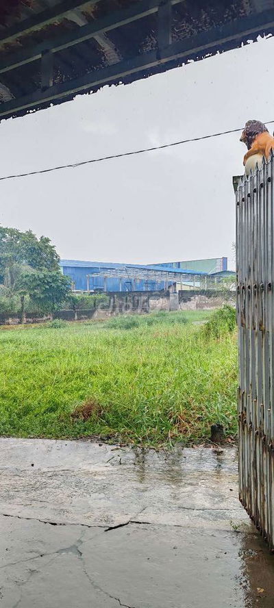 CHÂU THÀNH SIÊU PHẨM GIÁ RẺ FUN THỔ 3 LÔ LA
GẦN BỆNH VIỆN LONG AN