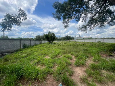 ĐẤT SÁT BẾN CÁT - CHÍNH CHỦ CẦN BÁN GẤP!