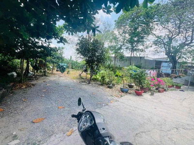 Bán Gấp Giúp Ông Anh lô đất đẹp gần trường THCS Tân Thạnh Đông