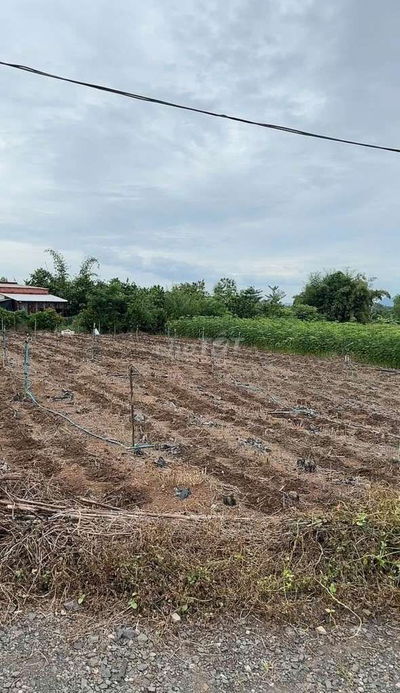 2 lô đất giá tốt,có sẵn thổ cư: 362 m2 +100m2 ONT và 932 m2 +100m2 ONT