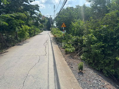 cần cho thuê làm nông nghiệp công nghệ xanh hoẵc bán