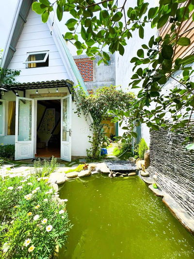 Nợ nần cần bán lỗ lô 120m2 giá 300 triệu sẵn nhà homestay view đẹp P3