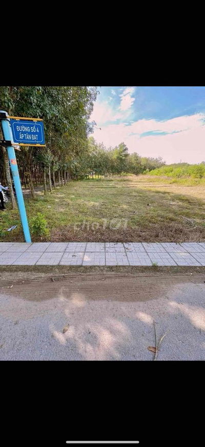 CẮT LỖ NHANH TRONG TUẦN 800 TRIỆU THU VỀ ĐẤT NHỰA XÃ ĐỒI 61 TRẢNG BOM