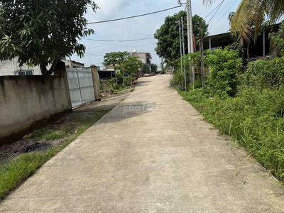 bán gấp nền biệt thư 301m có 200m thổ cư, đường oto, gần Phú Mỹ Hưng.