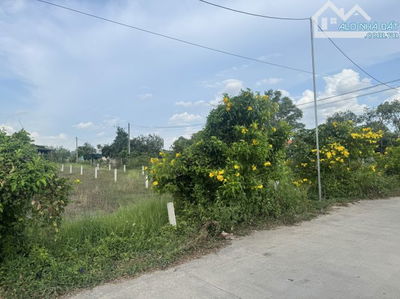 BÁN GẤP LÔ ĐẤT MT 5M - XÃ ĐỨC HOÀ ĐÔNG