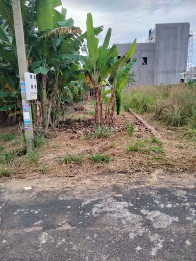 *Đất đẹp sau TĐC Hắc Dịch, Phú Mỹ, Vũng Tàu 175M2, 60Tc, chỉ 1.42T