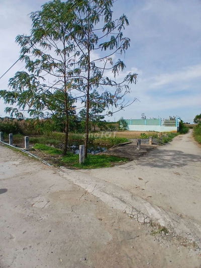 Cần gấp bán lỗ 4078 m2 đất bình khánh