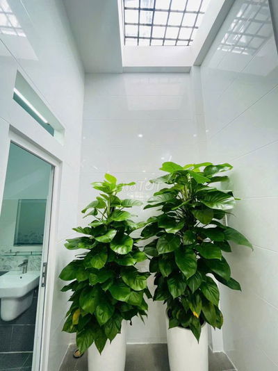 Bán nhà 2 tầng FULL NỘI THẤT đường TL15, phường THẠNH LỘC,Q12