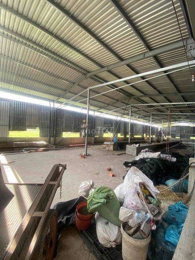 CHO THUÊ KHO XƯỞNG 10x30 - 15TRIỆU - LỢP KÍN TÔN TẤT CẢ - XA DÂN CƯ