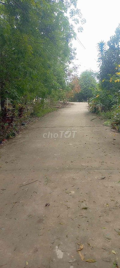 Bán đất thổ cư chính chủ