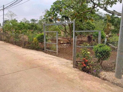 Cần Bán Gấp