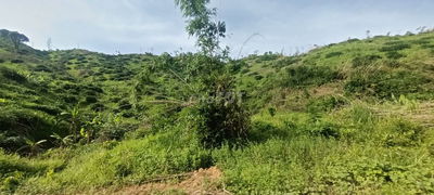 Đất rẻ tại cát tiên