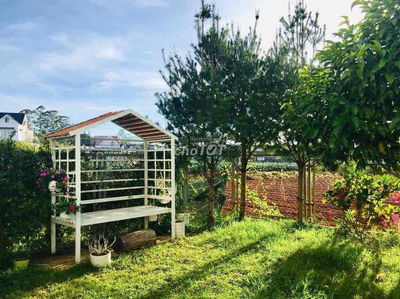 Bán lỗ nhà tâm huyết 235m2 có sân vườn, giá rẻ,