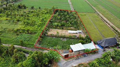 Đất Nông Nghiệp giá rẻ