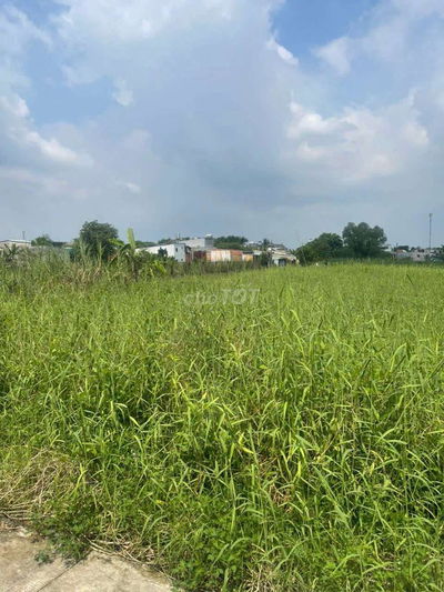 CẦN TIỀN BÁN GẤP ĐẤT GIÁ RẺ TRỊNH THỊ DỐI